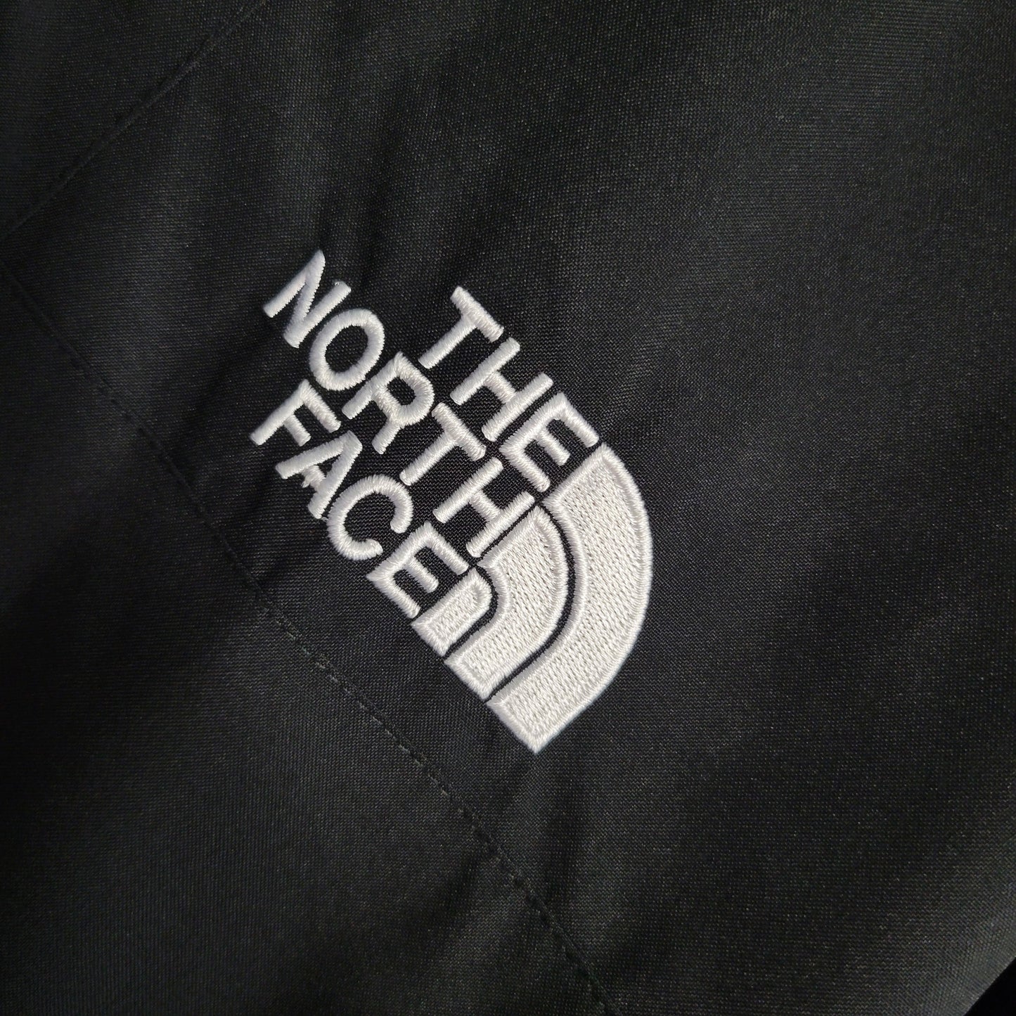 Veste The North Face Noir